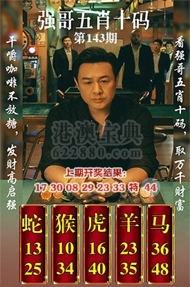 五肖十码