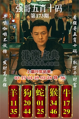 五肖十码