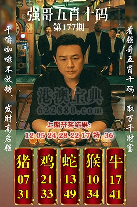 五肖十码