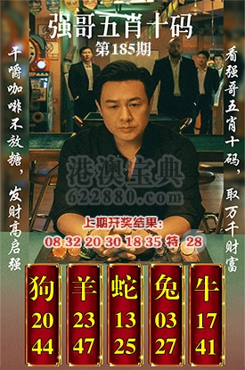 五肖十码