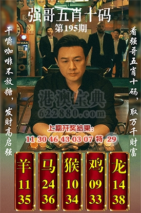 五肖十码