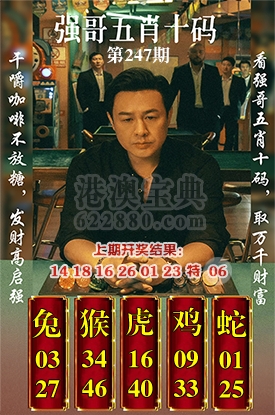 五肖十码