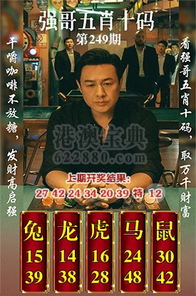 五肖十码