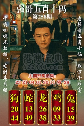 五肖十码