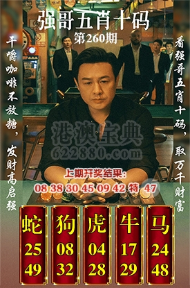 五肖十码