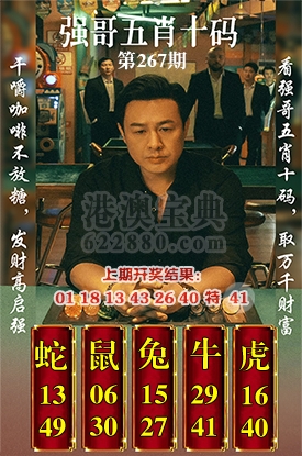 五肖十码